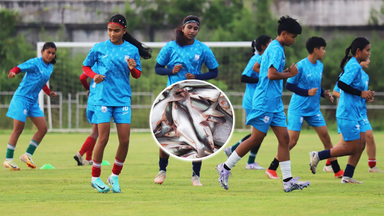নারী ফুটবলের সংবাদ সম্মেলনেও ‘পাঙাস মাছ’ প্রসঙ্গ